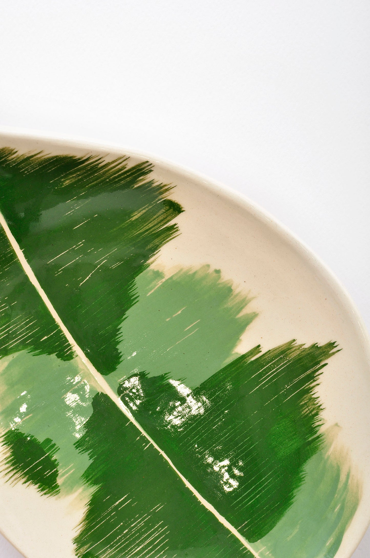 Paquete plato nopal + ficus