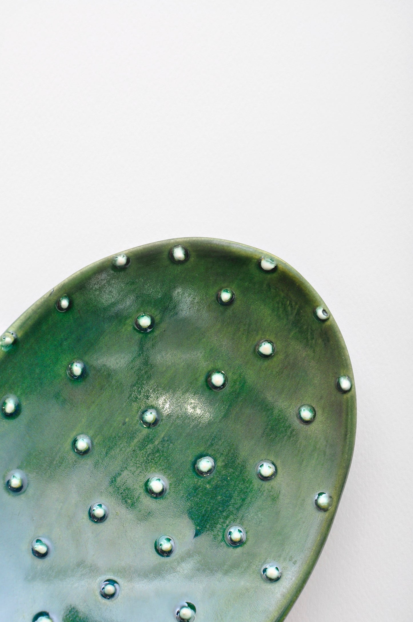 Paquete plato nopal + ficus